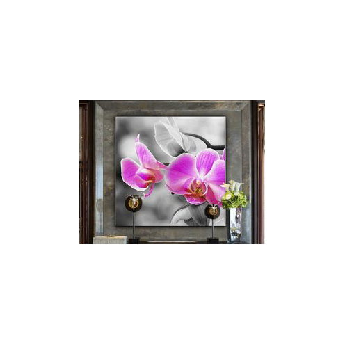 Orchidée papillon