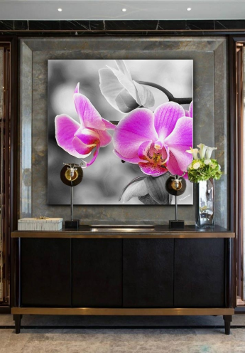 Orchidée papillon