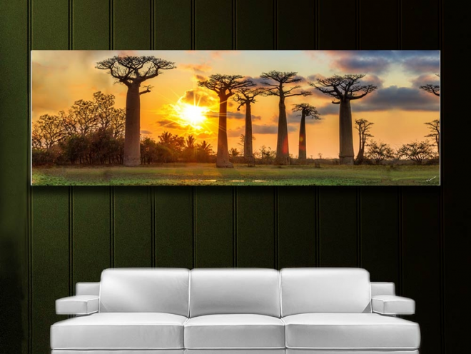 Soleil couchant derrière les baobabs