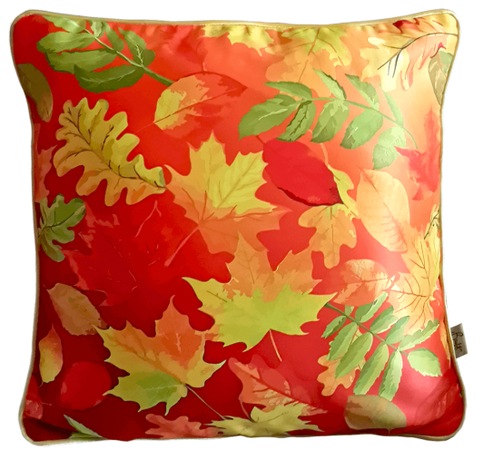 Coussins d'intérieur
