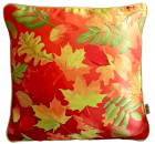 Coussins d'intérieur