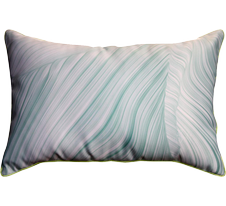 Coussins d'intérieur