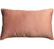 Coussins d'intérieur