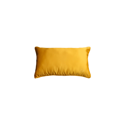 Coussins d'intérieur
