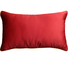 Coussins d'intérieur