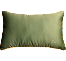 Coussins d'intérieur