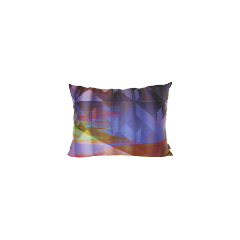 Coussins d'intérieur