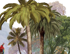 Amazonie