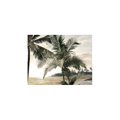 Sur la plage de l'île aux Nattes