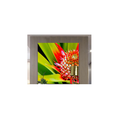  Fleur d'ananas