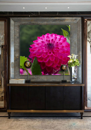 Dahlia