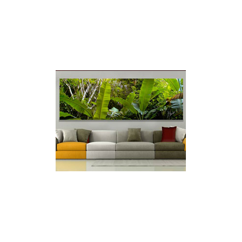 Couleurs tropicales