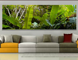 Couleurs tropicales