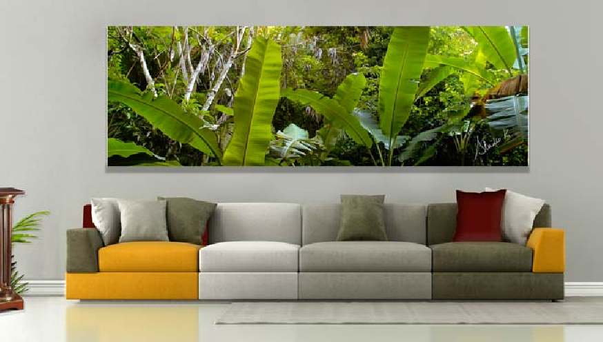 Couleurs tropicales